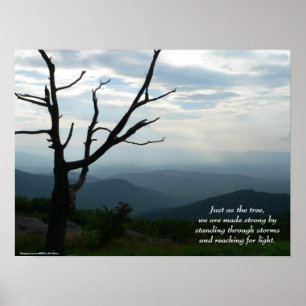 Stehend/Poster erreichen Poster