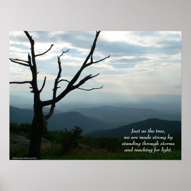 Stehend/Poster erreichen Poster (Vorne)