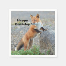Stehend Red Fox Geburtstag