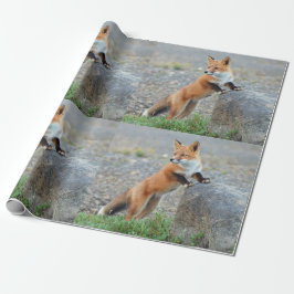 Stehend Red Fox Geschenkpapier