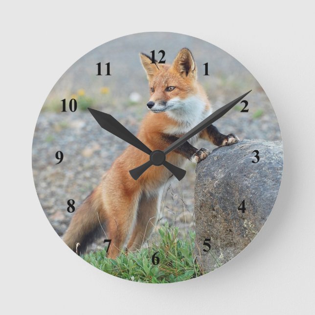 Stehend Red Fox Runde Wanduhr (Vorderseite)