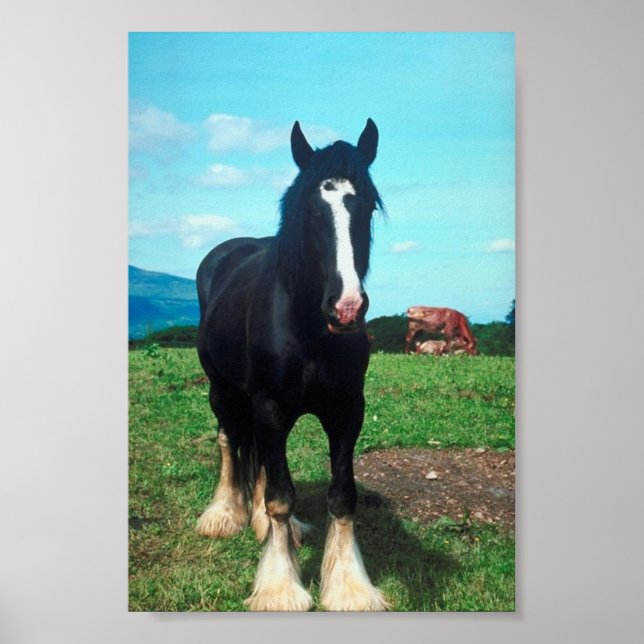 Stehend Shire Poster (Vorne)