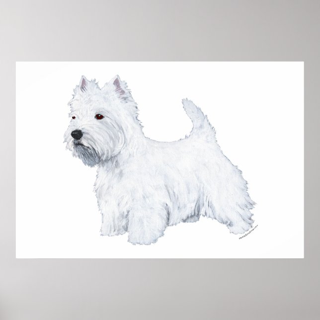Stehend Westie Poster (Vorne)