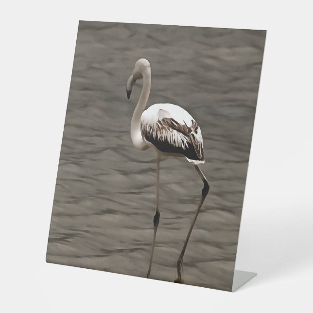 Stehende Alone Juvenile Flamingo Kunst Sockelschild (Vorderseite)