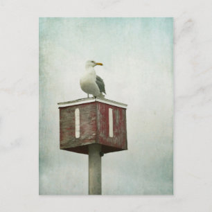 Stehende Garde Postkarte