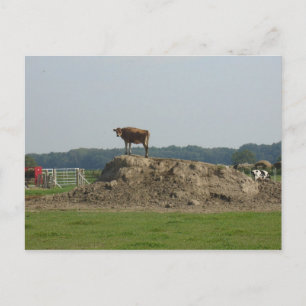 Stehende hübsche Postkarte