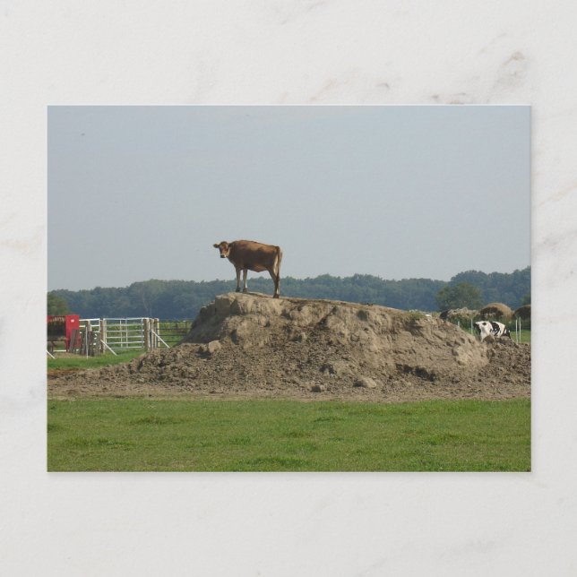 Stehende hübsche Postkarte (Vorderseite)