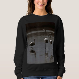 Stehende Pose Influenceros Flamingo Style 1 Sweatshirt