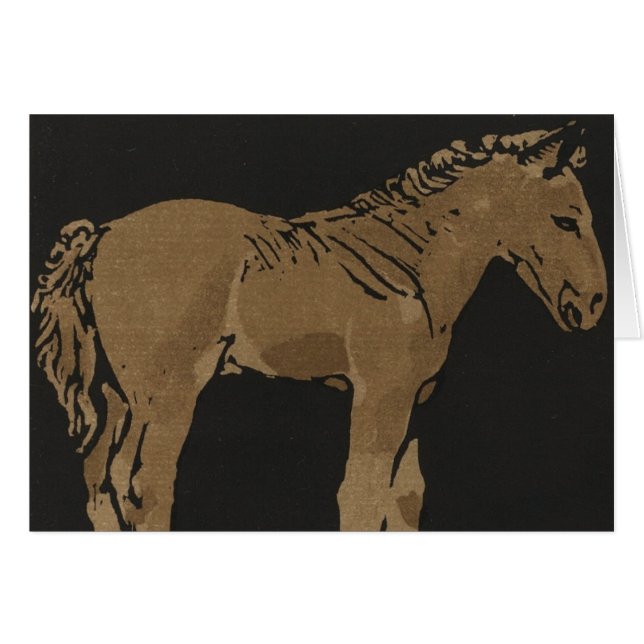 Stehender Colt (Vorderseite (Horizontal))