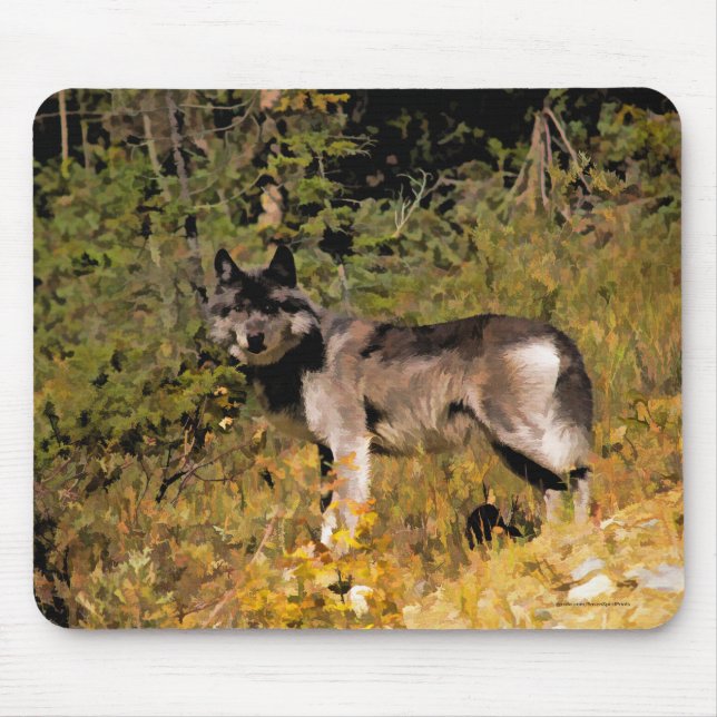 Stehender Grauer Wolf & Forest Wildlife Foto Art Mousepad (Vorne)