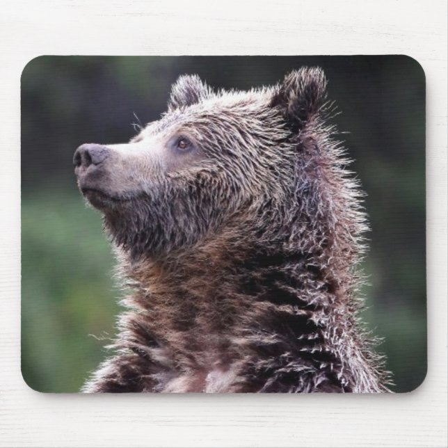 Stehender Grizzly-Bär Mousepad (Vorne)