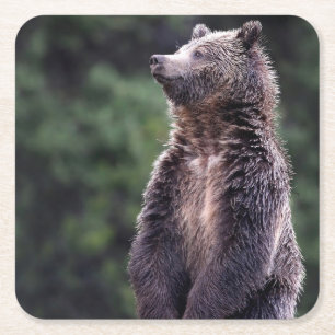 Stehender Grizzly-Bär Rechteckiger Pappuntersetzer