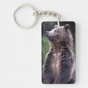 Stehender Grizzly-Bär Schlüsselanhänger