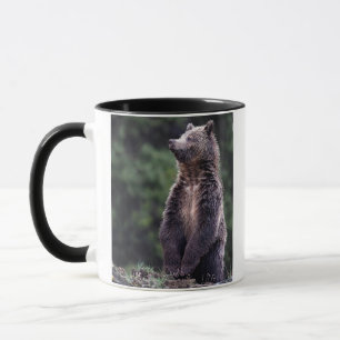 Stehender Grizzly-Bär Tasse