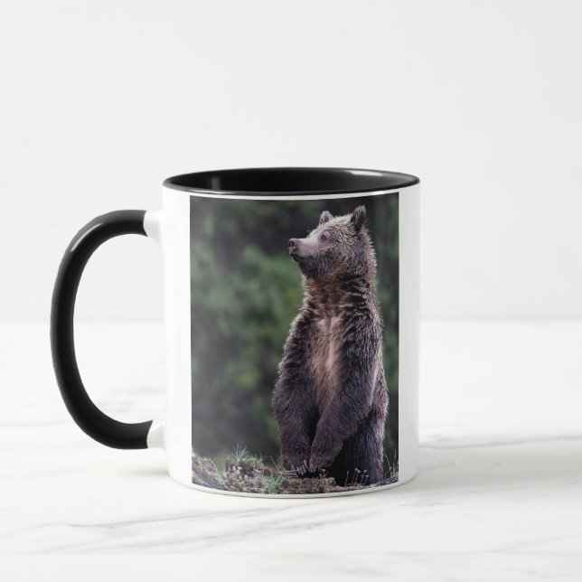 Stehender Grizzly-Bär Tasse (Links)