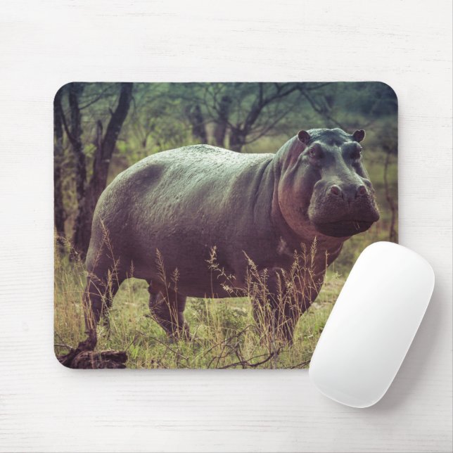 Stehender Hippo-Posing bei Kamera in Africa Foliag Mousepad (Mit Mouse)