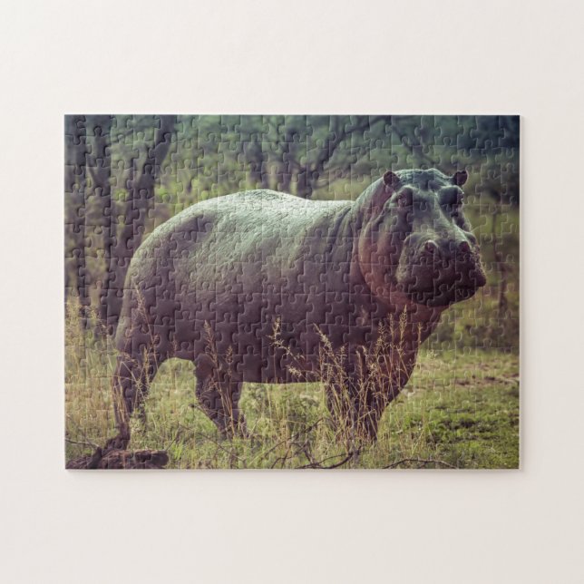 Stehender Hippo-Posing bei Kamera in Africa Foliag Puzzle (Horizontal)
