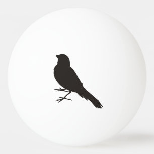 Stehender Kanarienvogel Tischtennisball