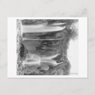 Stehender Mensch unter der Fotograf der Meeresfisc Postkarte