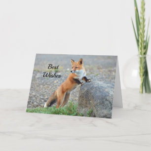 Stehender Red Fox Glückwunsch Hochzeit Karte