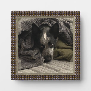 Stehendes Bild mit Imitaten Metallrahmen HAMbWG Fotoplatte