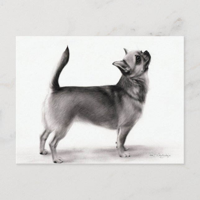 Stehendes Chihuahua-Handgemälde Postkarte (Vorderseite)