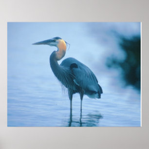 Stehendes hohes poster