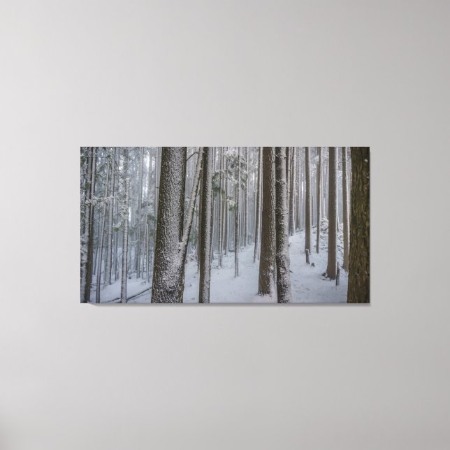 Stehendes Tal #2 Leinwanddruck (Vorderseite)