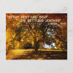 Steht fest und seht die Rettung Postkarte