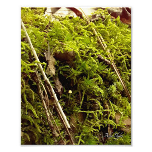 Steigende Hoffnung Fotodruck