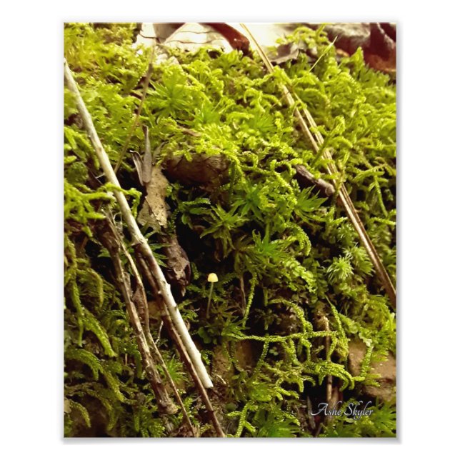 Steigende Hoffnung Fotodruck (Vorne)