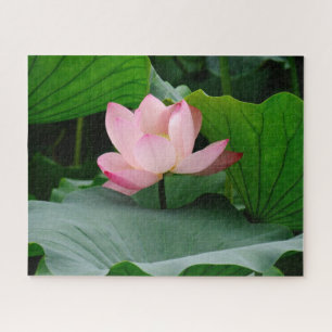 Steigendes Soul (hellrosa Wasserlilie) Puzzle