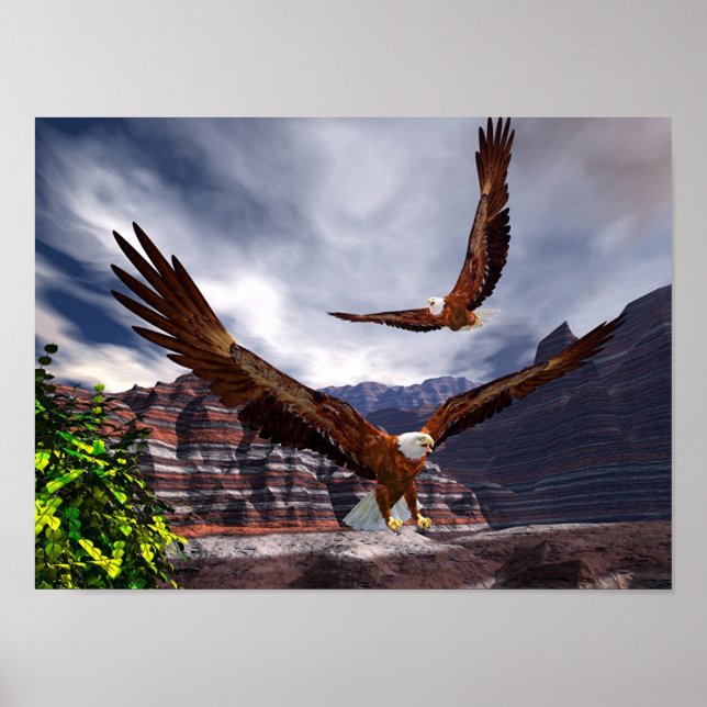 steil poster (Vorne)