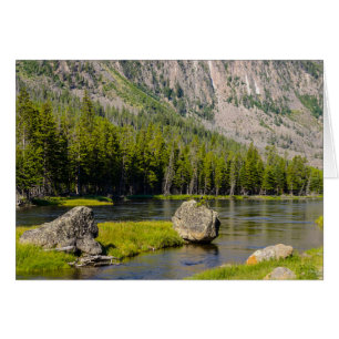 Stein am Madison River