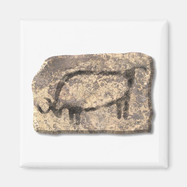 Stein Magnet (Vorne)