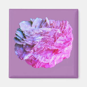 Stein   Neue Ansicht   Zwei Tonebenen   Magnet