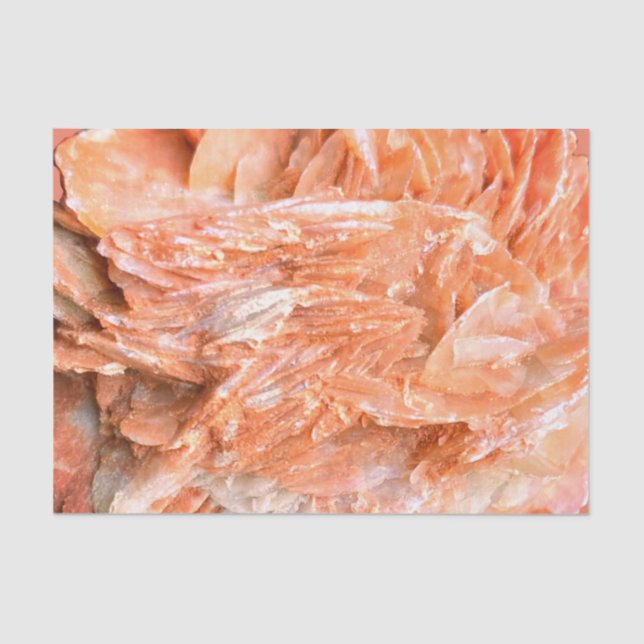 Stein | Neue Ansicht | Zwei Tonebenen | Seidenpapier (Vorderseite)