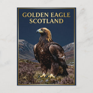 🦅 Steinadler Schottland Highland-Vogel Postkarte