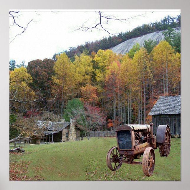 STEINBERG-N.C. STAAT PARK-POSTER POSTER (Vorne)
