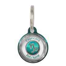 Steinbock - das Ziegen-Tierkreis-Zeichen