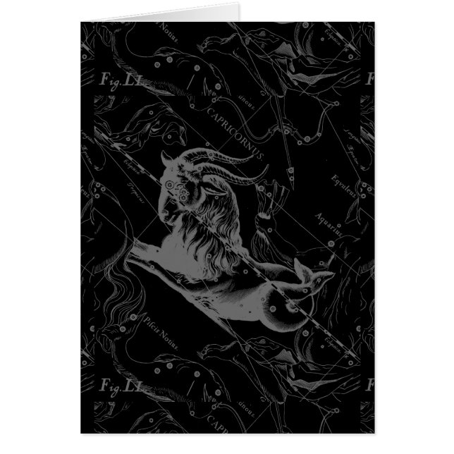 Steinbock-Konstellations-Karte Hevelius Stich (Vorne)