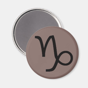 Steinbock Magnet