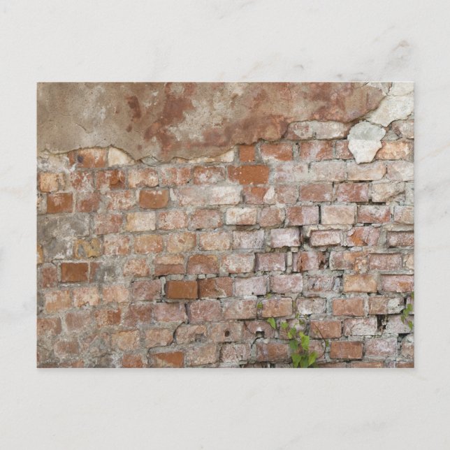 Steine alte Mauer Postkarte (Vorderseite)