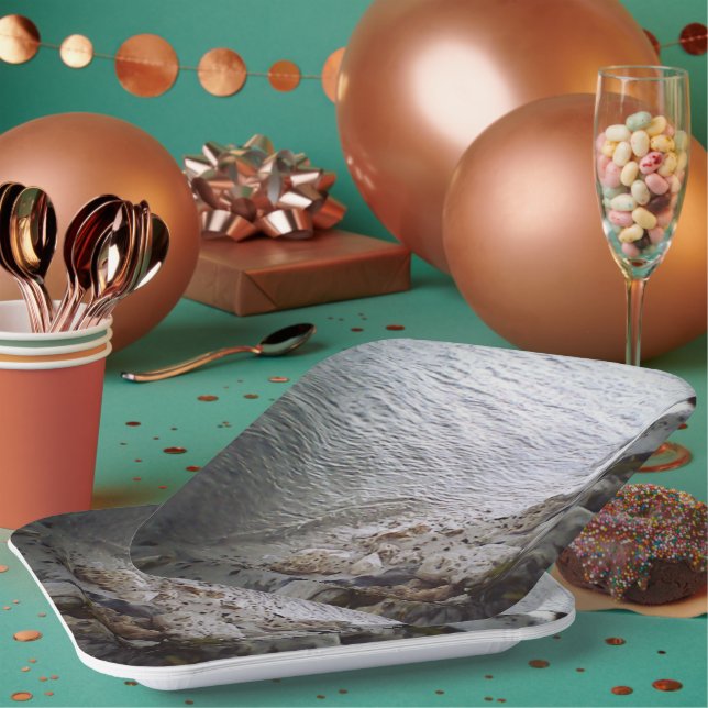 Steine am Strand Pappteller (Multi)