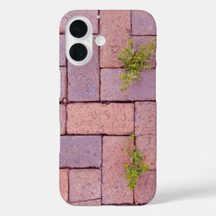 Steine und Unkraut in der Fußgängerfotografie iPhone 16 Hülle