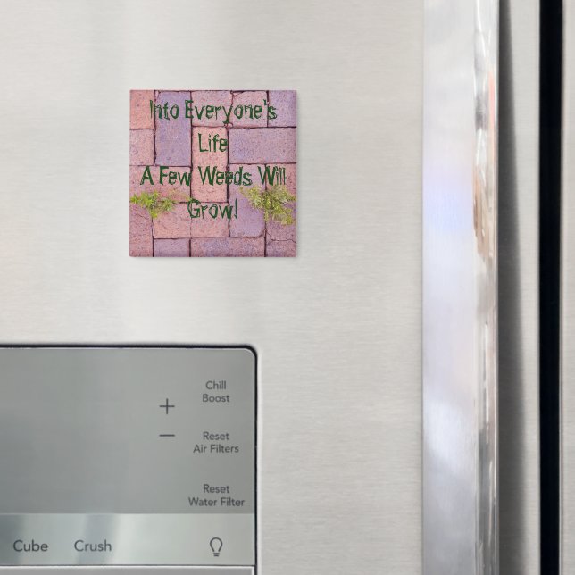 Steine Unkraut in Walkway Foto Personalisiert Magnet (In Situ (Kühlschrank))