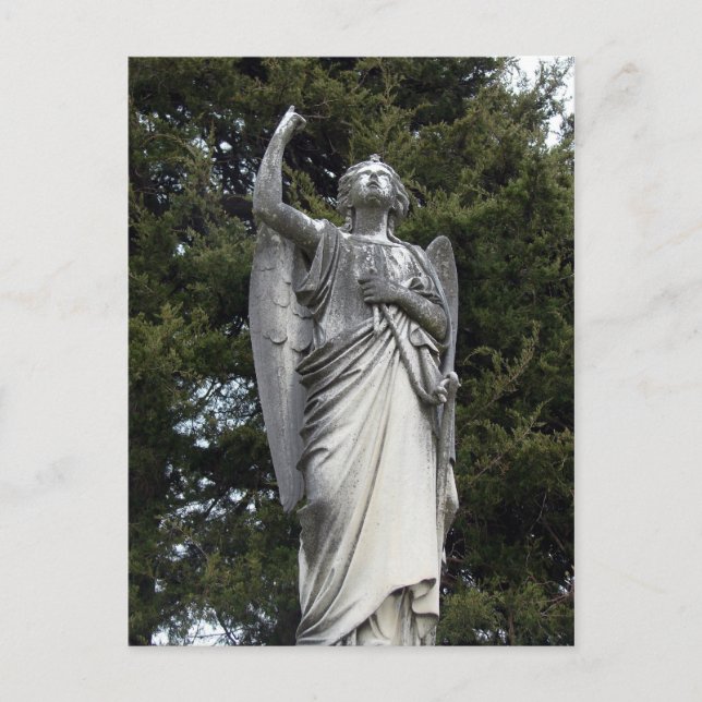 Steinengel mit Kiefernbäumen im Hintergrund Postkarte (Vorderseite)