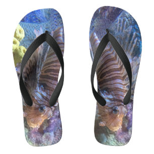 Steinfisch Flip Flops