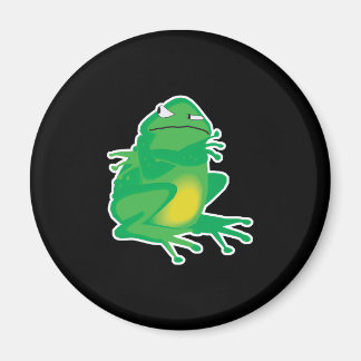 Steinfrosch Magnet