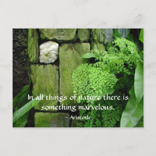 Steingarten: Aristoteles - Postkarte